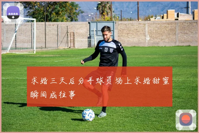 求婚三天后分手球员场上求婚甜蜜瞬间成往事