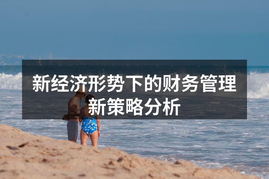 新经济形势下的财务管理新策略分析